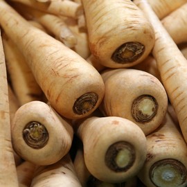 Hollow Crown Parsnip Garden Seeds - 4 Oz - Non-GMO, Heirloom Vegetable Gardening Seeds - Open Pollinated