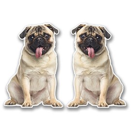 2 x 10cm Tan Pug Vinyl Sticker Decal Laptop Tablet Car Dog Animal Fun #6297 (7cm Wide x 10cm Tall)