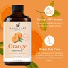Handcraft Blends Orange Essential Oil – 1 Fl Oz –