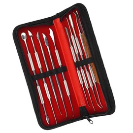 PRETYZOOM Wax Carving Tools Tool Sculpting Sculpture- Stainless Steel Wax Engraving Kit Wax Spatula Wax Carving- Tool Set for Dental Use (Black Bag)