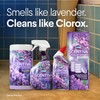 CLOROX Scentiva ToiletWand Toilet Cleaner Refills, Toilet brush, Lavender and
