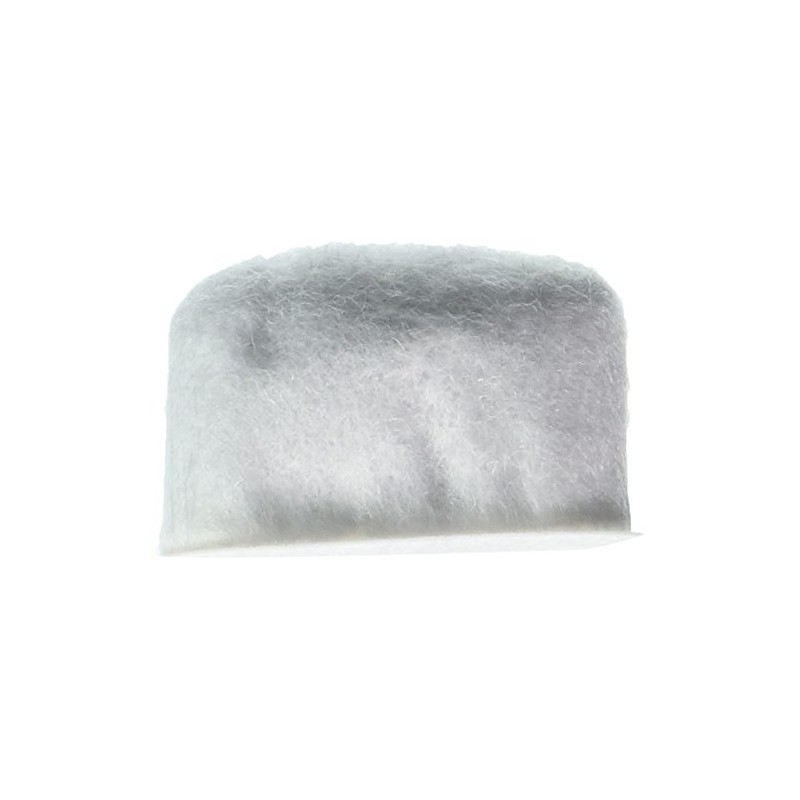Delonghi 7313285779 Carbon Filter