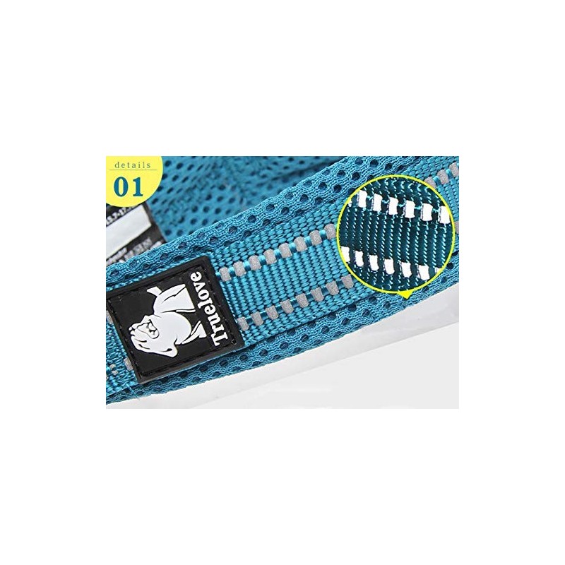WINHYEPET True Love Dog Collar Reflective Sandwich lining Nylon Webbing