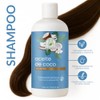 Shampoo Con Aceite De Coco Hidratante 500 Ml Productos Mart