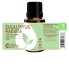 Rocky Mountain Oils Eucalyptus Radiata Essential Oil - 100% Pure