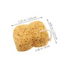 Healvian 2pcs Natural Honeycomb Sponge Exfoliating Body Scrubber for Shower