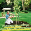 2,425 Lbs Strength Tree Straps - 216FT Tree Tie Support