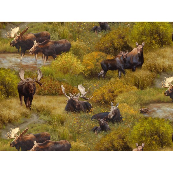 Moose North American Wildlife Collection from Elizabeth's Studio 100% Cotton