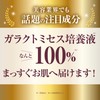 ガラクトミセス培養液１００ 30ｍＬ／ 美容液 エッセンス ハリ 弾力 うるおい スペシャルケア 公式