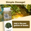 Oak Tree Fertilizer – Liquid Plant Food for Healthy Tree