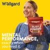 Wellgard Super Reds Powder, Ruby Powder, Vitamins, Minerals, Fruits, Botanicals,