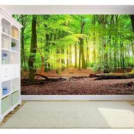 FENDROM Green Misty Forest Tapestry Wall Hanging Nature Landscape Tapestry Sunshine Through Tree Tapestries for Bedroom Living Room Dorm Decor