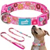 Cookie Paws Soft Neoprene Padded Dog Collar and Leash Set