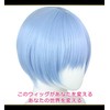 CaseEden 6023 Premium Cosplay Wig, Rei Ayanami, Short, Divided Center,