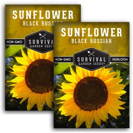 2 Packs Black Russian Sunflower Seed for Planting - Packet with Instructions to Grow Flowers for Oil or Bird Feed in Your Home Vegetable Garden - Non-GMO Heirloom Variety - Survival Garden Seeds