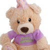 AB Tools Super Soft Plush Squeaky Birthday Bear Dog Puppy