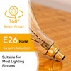 Jslinter Oversized Incandescent Light Bulb 60 Watt, PS52/PS160 Edison Bulb