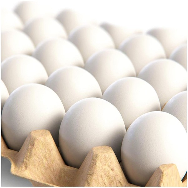 CALPALMY 24 Pieces Hyper-Realistic White Wooden Eggs - 2 Dozen