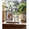 Afuly photo frame with a vase