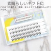ISHR Partial False Eyelashes, 0.3 - 0.5 inches (9 -