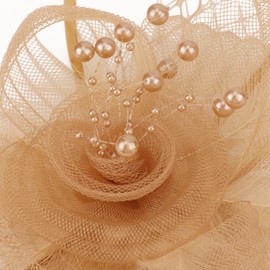 DRESHOW Fascinators Hat Flower Mesh Ribbons Feathers on a Pin and a Clip Tea Party Derby Wedding Headwear for Women Girls