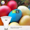 GY GU10 LED Cool White Bulb, 8 W, 6500 K,