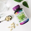 GS4+2 Holidays Lemon Balm 90 Tablets x 6 Bottles (18