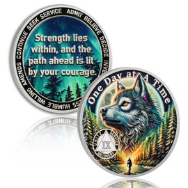 YRCKUDZKG Brave Wolf 9 Year Sobriety Coin - One Day at a Time AA Coin, Alcohol Free Nine Year Recovery Chip with Token Capsule, Inspirational Sobriety Gifts for Men & Women