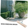 CAXUSD 2pcs Plated Wire Brush for Moss Removal Concrete and