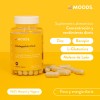 Focus Nootropicos Melena De Leon Bacopin L Glutamina Moods