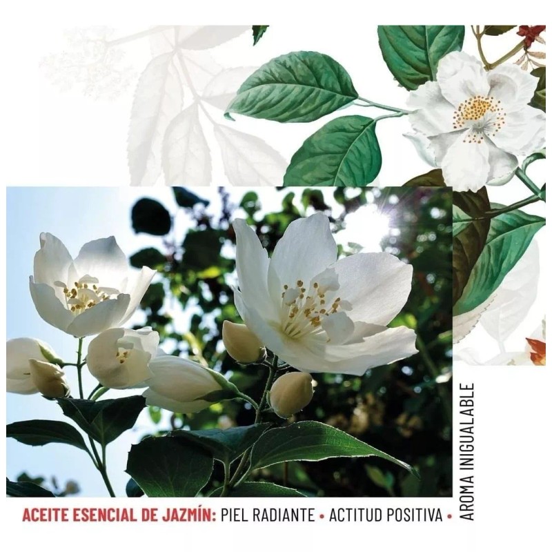 Oleum Vitae Aceite Esencial De Jazmín 100% Puro Y Orgánico