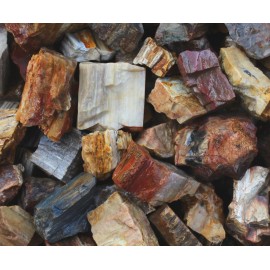Petrified Wood - Large Rough Rocks for Tumbling - Bulk Wholesale 1LB options - 11 Pounds