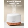 InnoGear Aromatherapy Diffuser & 10 Essential Oils Set, 500ml Essential