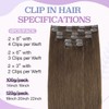 Sindra Clip-In Remy Clip-In Hair Extensions Natural Brown Hair Extensions