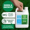 Maximum Green & Growth- High Nitrogen 28-0-0 NPK- Lawn Food