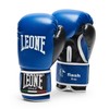 LEONE GN083J 1947 Boxing Martial Arts Practice Gloves, Unisex, Junior