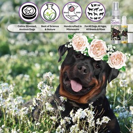 The Blissful Dog Rottweiler Relax Roll-ON Aromatherapy for Dogs - Anxiety Relief for Dogs