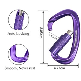 BRAVESHINE 2 Pack Carabiner Clip Heavy Duty, 12KN Auto Locking Carabiner, Twist Lock Carabiner Keyring, D Clips Hook for Hiking, Camping, Hammock, Dog Lead, Swing