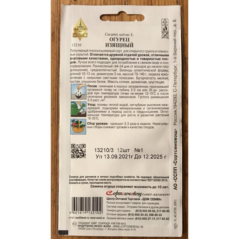 Dom Semyan Russian Cucumber “Elegant” Heirloom Non GMO Seeds Rare-Огурец
