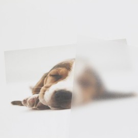 Asusolvent A4 PVC Flexible Plastic Sheets, 10Pcs 0.3mm Thick A4 Size, Transparent DIY Crafts Film (Semi Transparent)