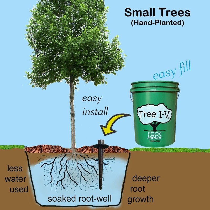 Tree I-V Original Base Root Feeder Watering System - Durable