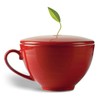 Tea Forte Cafe Cup Ruby Red Porcelain Tea Cup and
