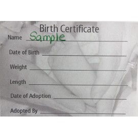 Unbranded BEAUTIFUL Reborn Baby Birth Certificate Card Stock 5x7 ~REBORN DOLL SUPPLIES