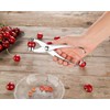 2-in-1 Cherry and Olive Pitter Tongs Made from Metal, Chrome-Plated (Cherry