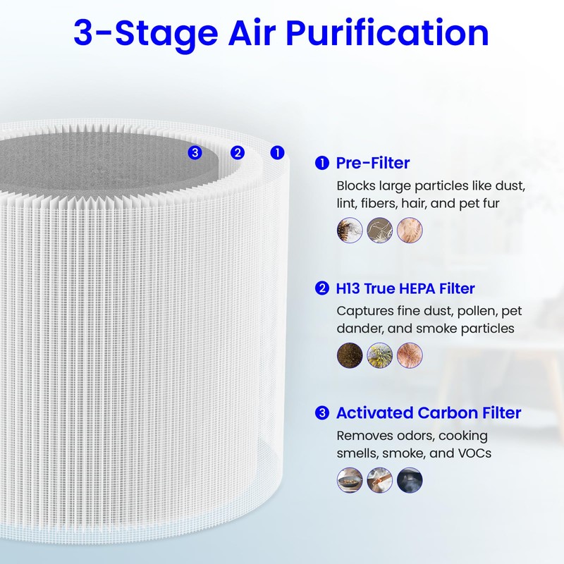 Future Way 2-Pack TP01 TP02 Filter Replacement Kit for Dyson