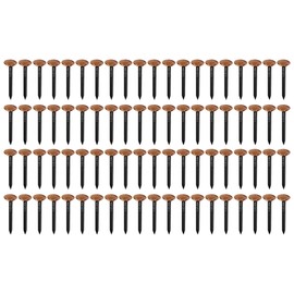 cyclingcolors 100 x Picture Nails, Steel Nails with Copper Head, Decorative Furniture, Picture Frame, Painting, Photography, Wall Renovation, 2 x 20 mm