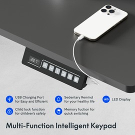 FLEXISPOT Standing Desk Electric Stand Up Desk with 40 x 24 Inches Splice Board Ergonomic Memory Controller Height Adjustable Desk (Black Frame + 40" Black Desktop)