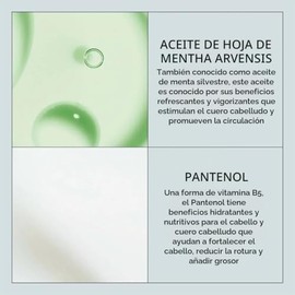 Nioxin 3D Styling Bodifying Foam 200 ml, Espuma Voluminizadora para Cabello Fino, Mayor Cuerpo, Volumen y Fijación