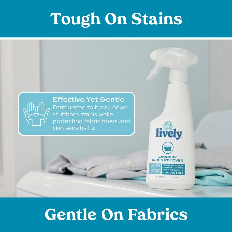 Lively Home Cleaning & Stain Removal Bundle – Multi-Purpose Cleaner
