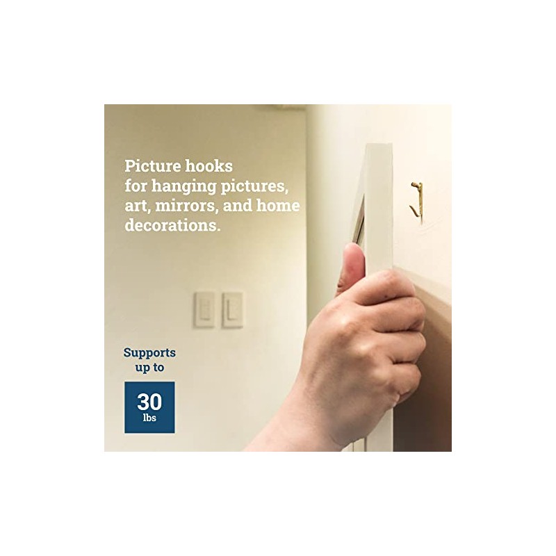 PHS Picture Hanging Hooks - Supports 30 lbs - 100